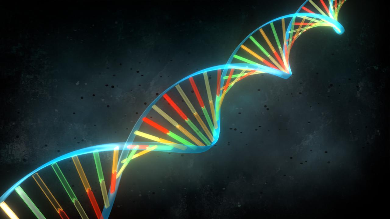Guy-Edouard's Portfolio: DNA